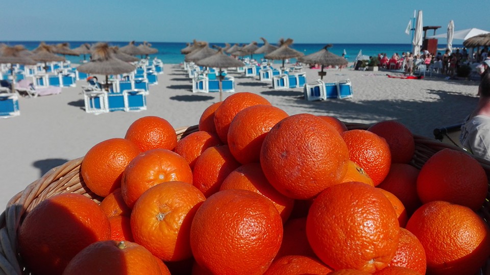 Cala Ratajda, schöne Aussicht Son Moll