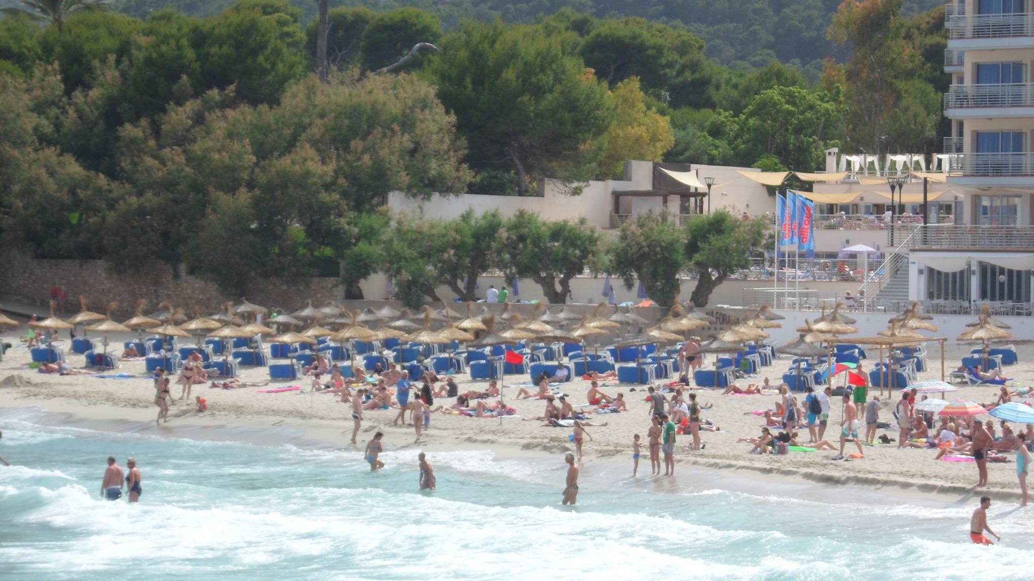 Blick von der Promenade auf die Son Moll Cala Ratjada