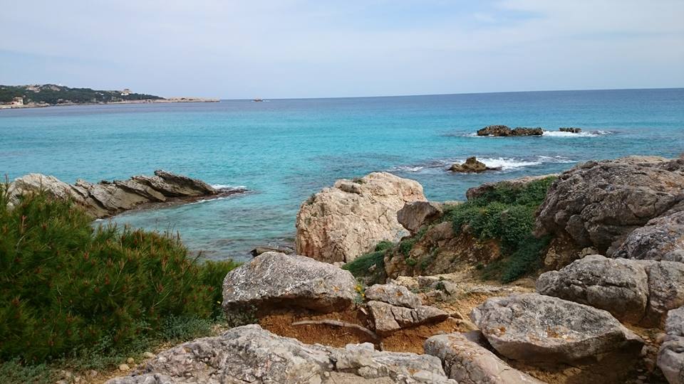 Son Moll Cala Ratjada Blick von oben